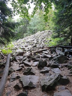 20220810_112509.jpg