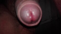 IMG_20220816_184633.jpg