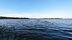 IMG_20220813_181342.jpg
