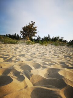 IMG_20220817_183253.jpg