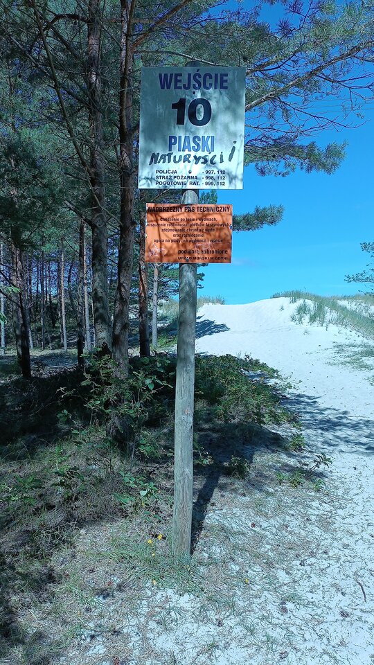 Ulubiona plaża - murena2