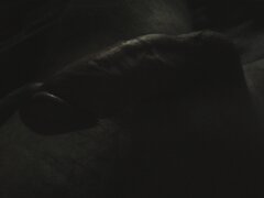 IMG_20200804_111204.jpg