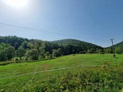 20220819_101621.jpg