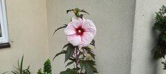 20220821_084637.jpg