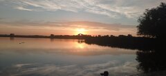 IMG_20220821_200158.jpg