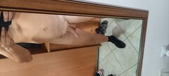 20220823_113816.jpg