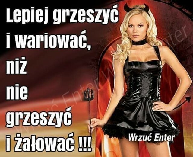 Misiaczki9081