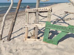 IMG_20220720_162658.jpg