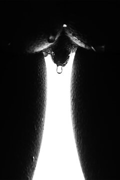 Drop...