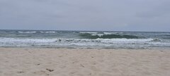 20220825_143527.jpg