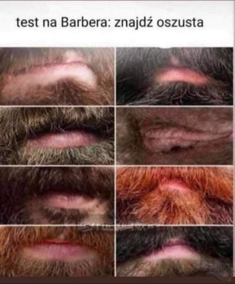 Takie tam 😂 - szary_wilk_