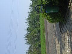 IMG_20220825_133605.jpg
