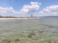 IMG_20220512_130643.jpg