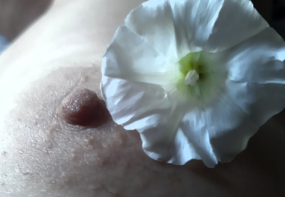 20220827_151903.jpg - LaceLady