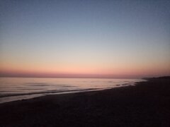 IMG_20220828_050552.jpg