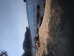 IMG_20220828_110355.jpg