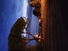 20220728_213324.jpg