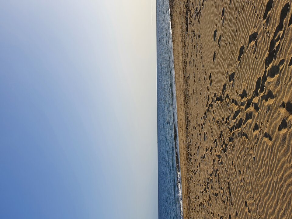 20220829_193154.jpg - olacanarias