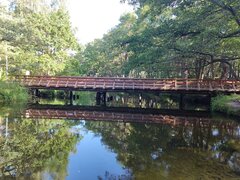 IMG_20220829_091616.jpg