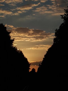 20220829_190510.jpg