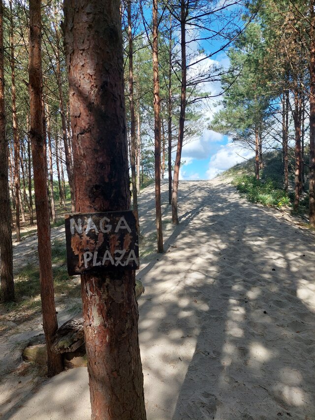 otwartybrunecik