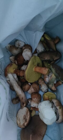 IMG20220901101437.jpg