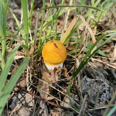 IMG_20220901_092822.jpg