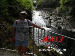 SAM_4209a.jpg