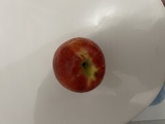 3EEBF115-98E0-4333-88BF-5C783C0CBF02.jpeg
