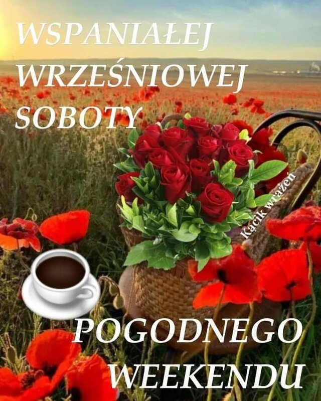 welder43