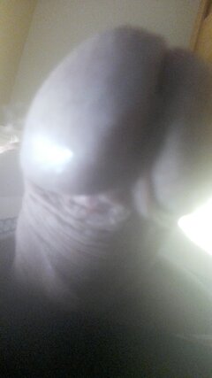 IMG_20220903_134405.jpg