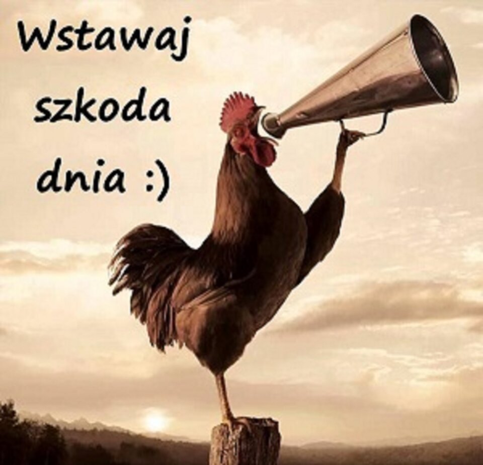 wstawaj_szkoda_dnia_3878.jpg - pasztet123