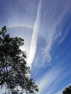 IMG_20220904_121039.jpg