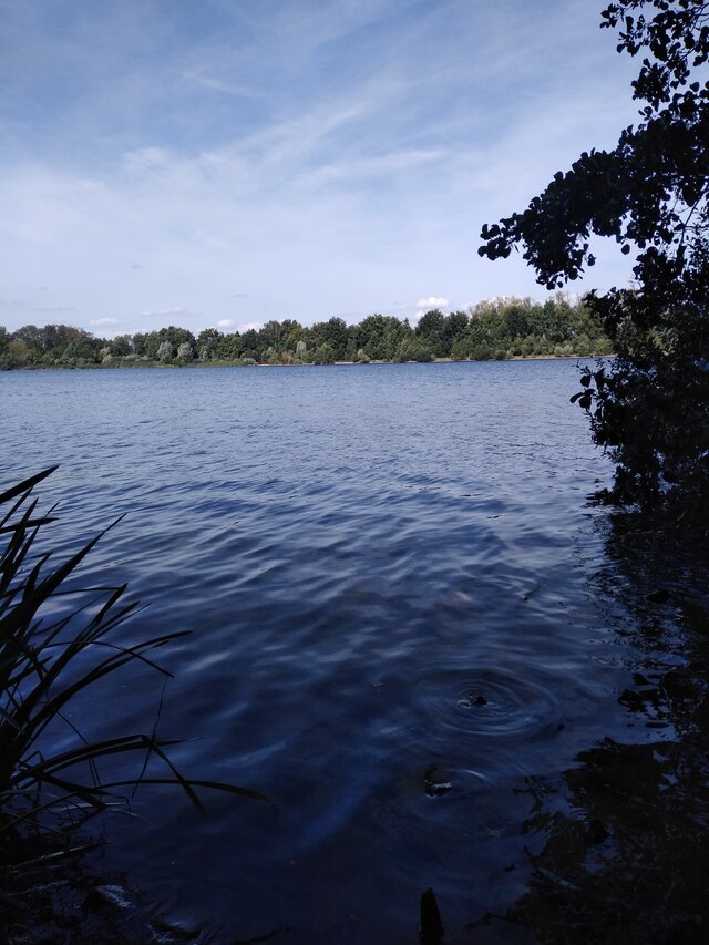 warszawaonbi