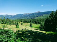 IMG_20200801_161007317~2.jpg