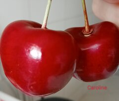IMG_20220831_095911.jpg