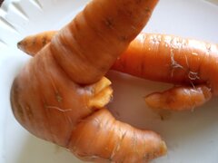 IMG_20220904_115305_648.jpg