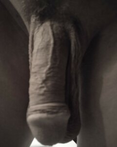 IMG_20220906_064335.jpg