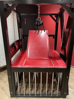 IMG_7924.jpeg