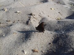 20180513_181732.jpg