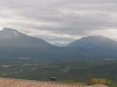 IMG_20220905_171529.jpg