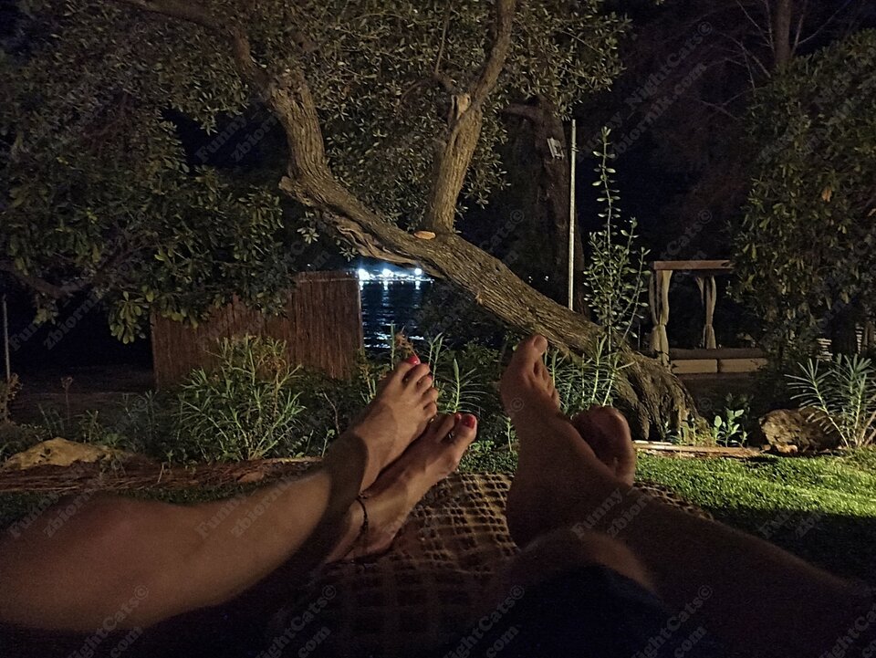 Nocne Koty :) - Funny_NightCats