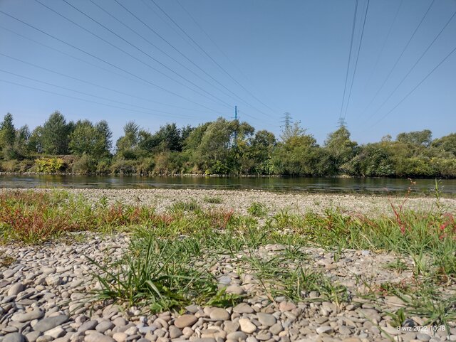 dykas
