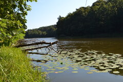 DSC_0376.JPG