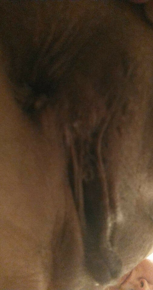 received_965637701499756.jpeg - Oniona3536