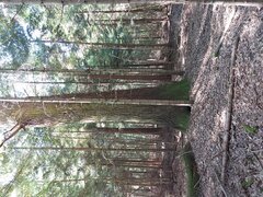20220907_130158.jpg