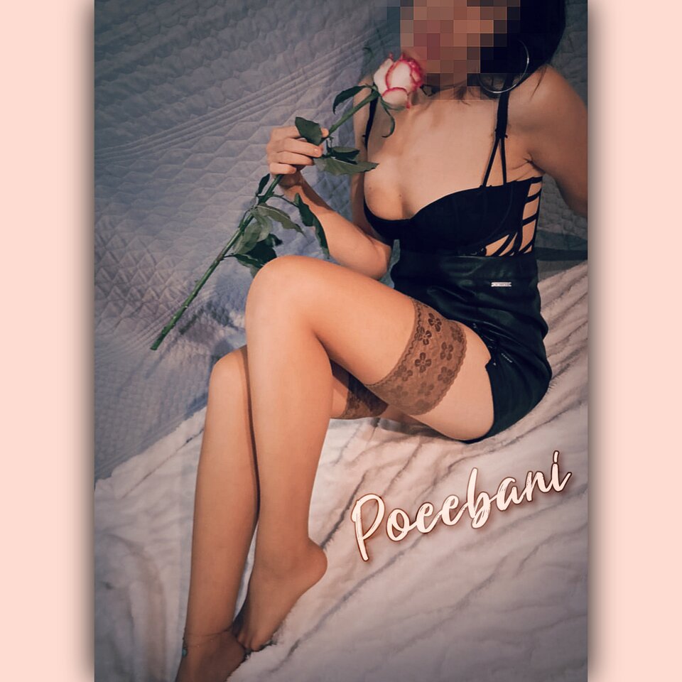 🌹🌹🌹 - Poeebani