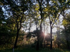 20220909_071715.jpg