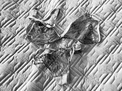 2DAF720D-5165-4254-87C5-CF780424BB91.jpeg