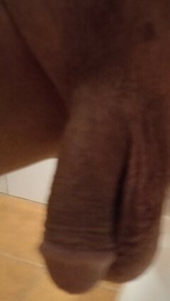 IMG_20220910_080236~2.jpg
